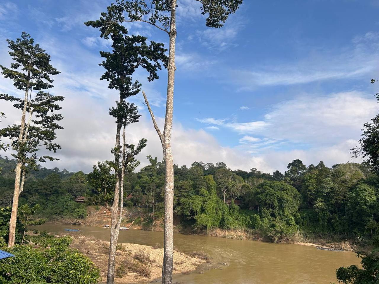 Taman Negara River View Lodge Kuala Tahan Exterior foto