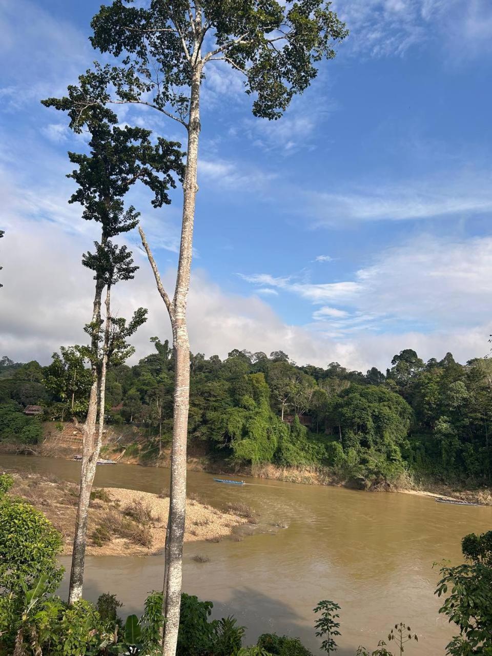 Taman Negara River View Lodge Kuala Tahan Exterior foto