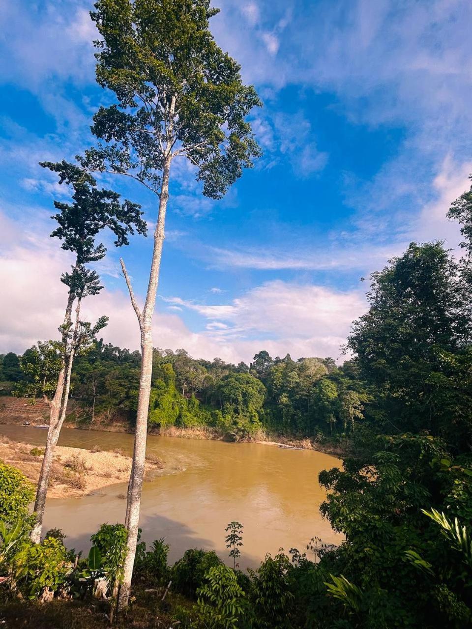 Taman Negara River View Lodge Kuala Tahan Exterior foto