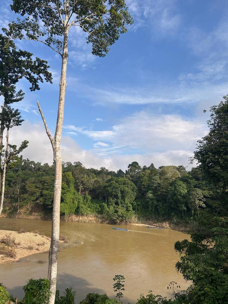 Taman Negara River View Lodge Kuala Tahan Exterior foto